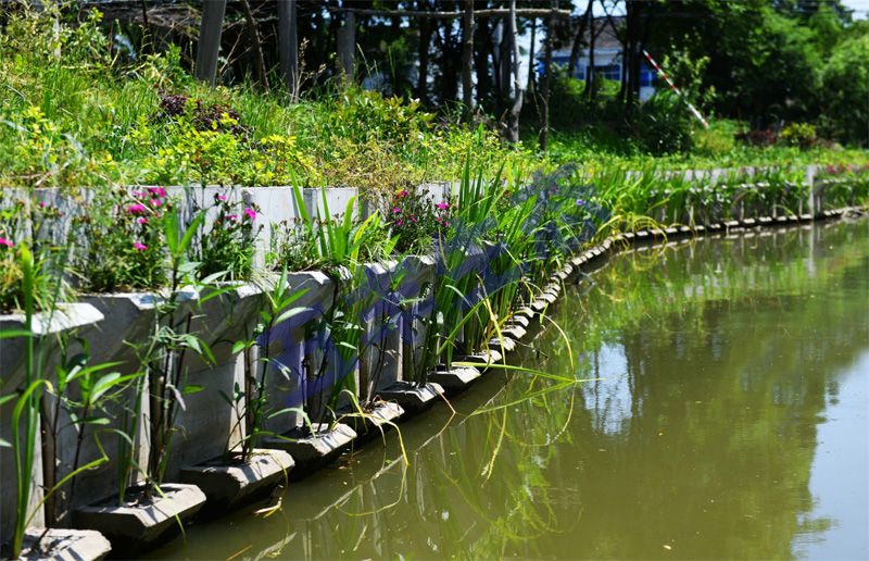 2019年配圖1 2019年配圖1